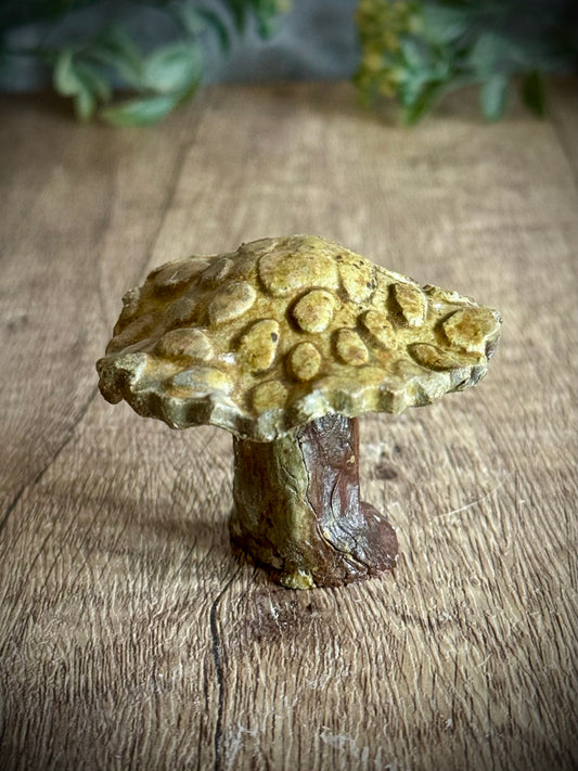 Woodland Mini – Textured Ceramic Mushroom #1